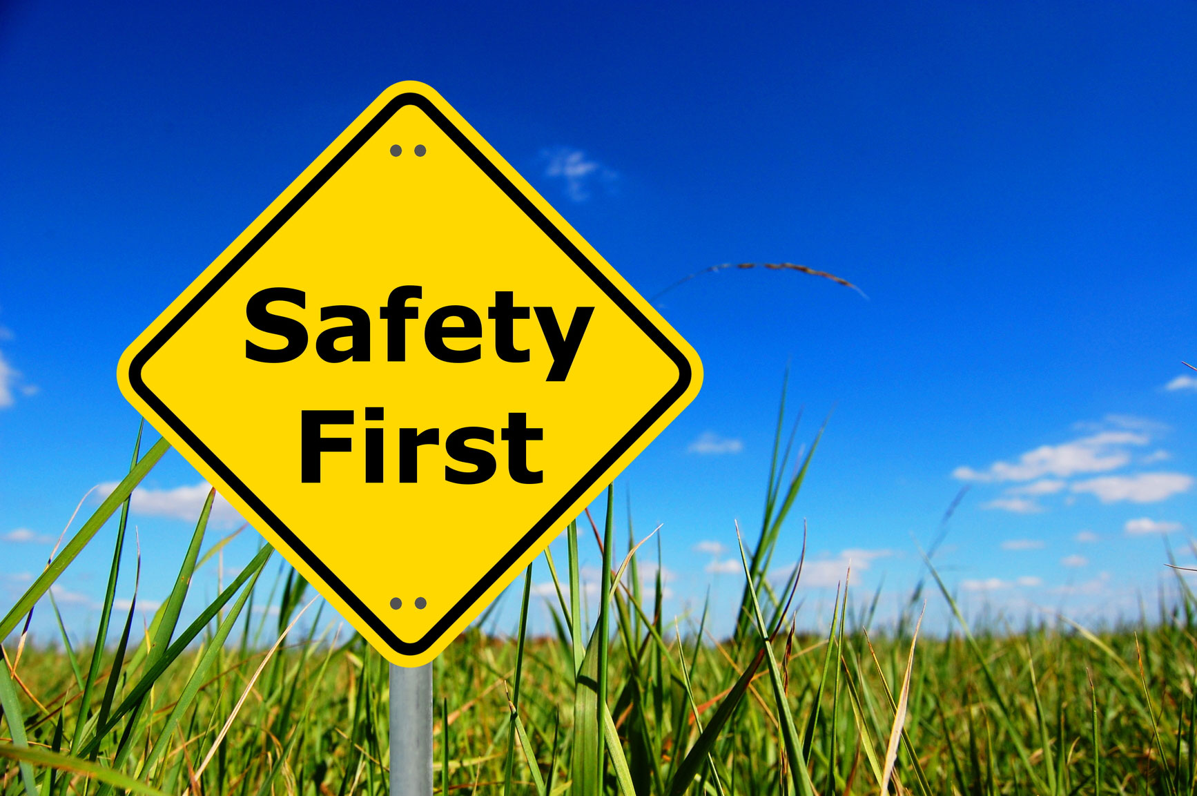 Tips for staying safe as a companion